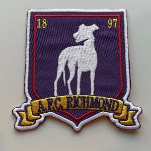 2 Ted lasso patches for Halloween costumes